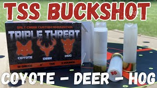 TSS BUCKSHOT ??? - BB TSS Pattern Test