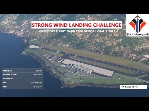 Microsoft Flight Simulator