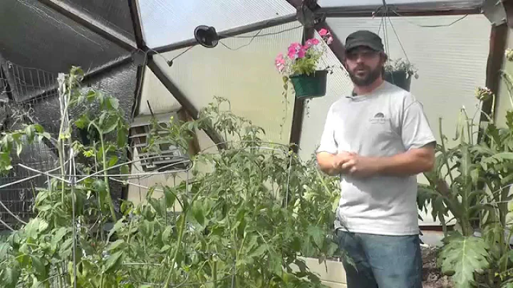 Organic Pest Control: Spider Mites