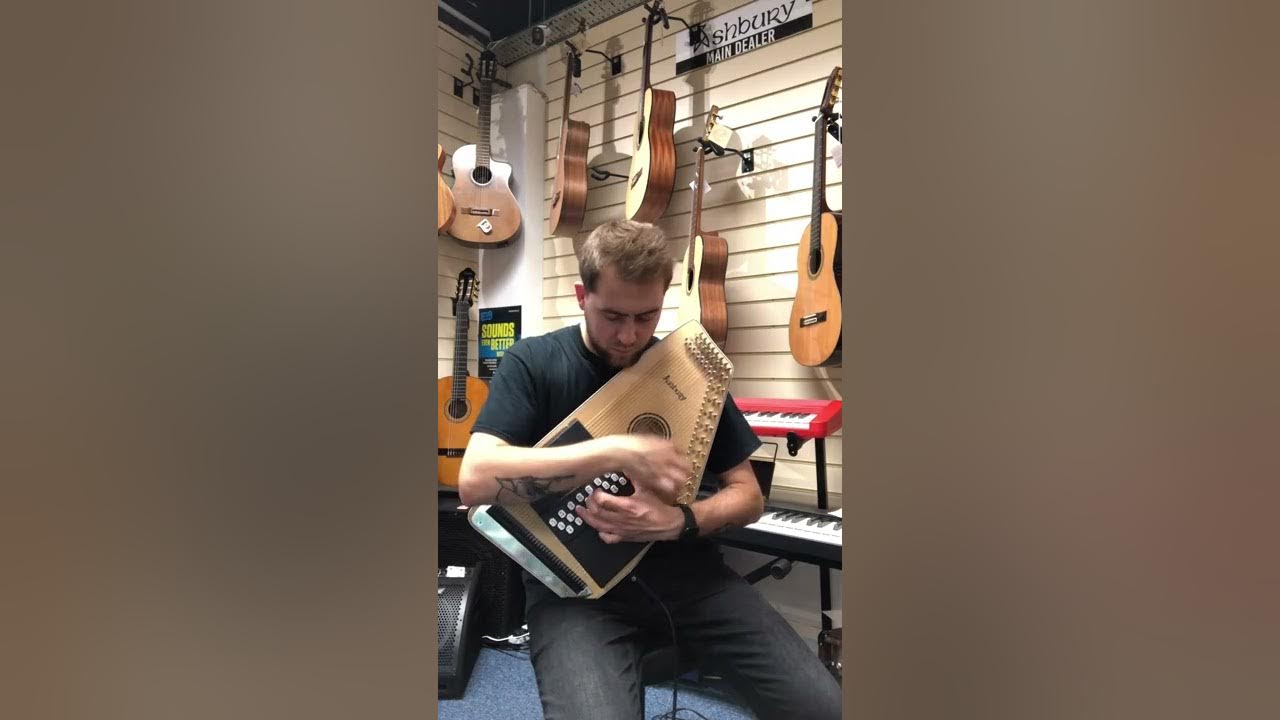 What’s Our Stock? // Ashbury AAH33E 21 Bar Electro Autoharp YouTube