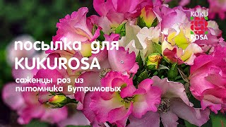 Посылка для Кукурозы 🌹 Из  питомника роз  БУТРИМОВЫХ