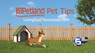 Petland Pet Tip #7:  Organize Pet Ownership Tasks To Ensure Pet Health by Petland Knoxville 11 views 3 years ago 16 seconds