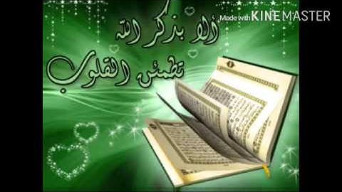 سورة الشرح بصوت القارئ رضوان الميشاني