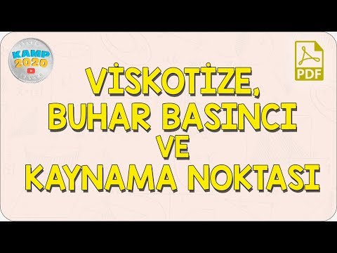 Viskozite, Buhar Basıncı ve Kaynama Noktası | Kamp2020