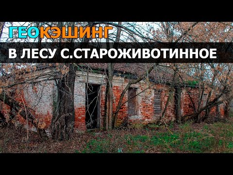 Геокэшинг: Поиск Тайника в Лесу