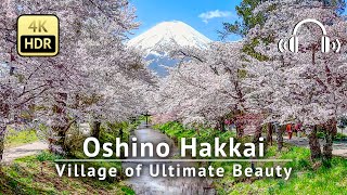 Oshino Hakkai - Village of Ultimate Beauty: Mt. Fuji, Cherry Blossoms & Crystal-Clear Water