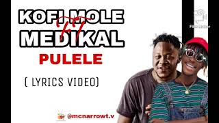 KOFI MOLE ft MEDIKAL PULELE(lyrics video)