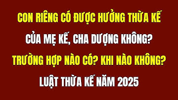 Con Riêng Có Được Hưởng Thừa Kế Của Mẹ Kế, Cha Dượng Không? - Pháp Luật Thừa Kế