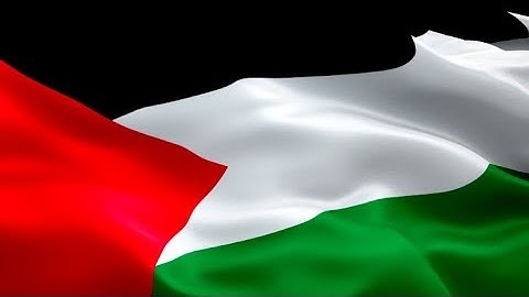 ‎Palestinian‎ flag video waving in wind. Realistic ‎Gaza Strip Flag background. Palestine flag HD