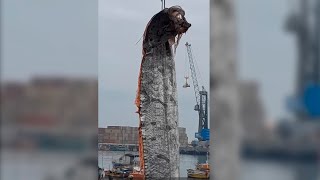 19 ft Long Oarfish Lifted by Crane Biggest Oarfish Caught on Camera