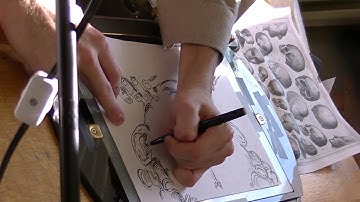 Ink Drawing Timelapse | Alex Boya Animation Process Documentation | Experimental Workflow