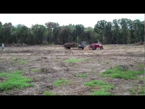 Clearing new land to start an organic blueberry farm