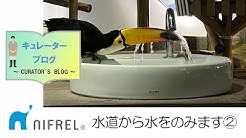 生きているミュージアム ニフレル公式 Youtube