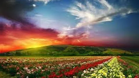 Nancy Wigginton Service