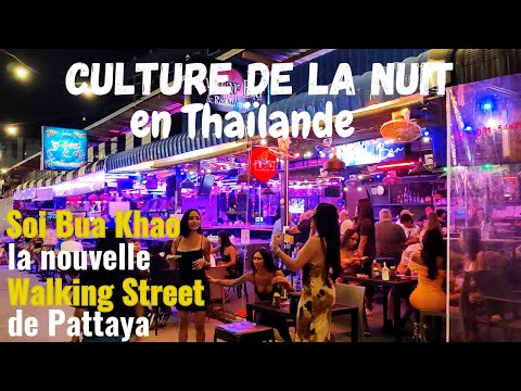 Vidéo: Vie nocturne à Francfort : les meilleurs bars, clubs, & Plus