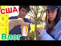 США Влог Рождество Всё закрыто День Обломов Большая семья в США Big big family in the USA VLOG