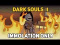 I Completed 100% of DARK SOULS 2 SOTFS With Immolation Only (So You Don