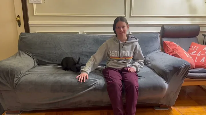 WEERRW Velvet Couch Cover for 3 Cushion Couch Covers