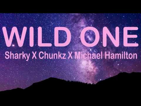 Wild One Lyrics