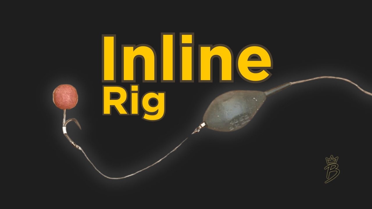 Inline Rigs So bindest du das Inline Rig – Schritt für Schritt erklärt - YouTube