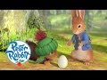 Peter Rabbit - The Great Egg Chase | Cartoons for Kids