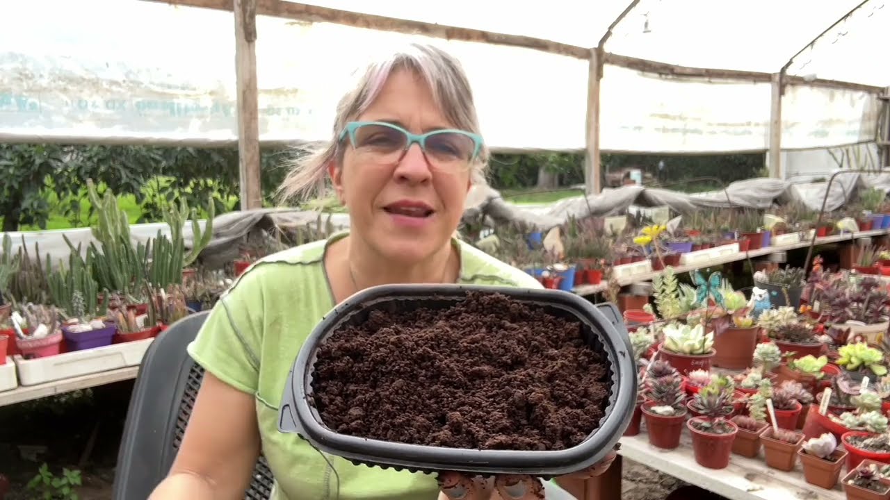 SUSTRATOS: ALGUNOS INGREDIENTES