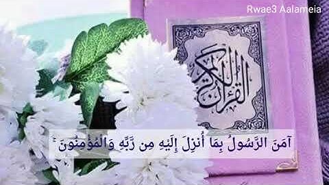 حالات واتس اب دينيه (أواخر سورة البقره)♥️
