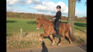 Download Lagu Þerna frá Rósagrund - NL2018200152 MP3