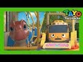 Tayo English Episodes S5 l Dinosaur Adventure Compilation l S5 compilation l Tayo the Little Bus