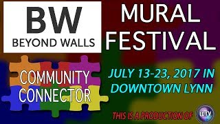Community Connector | Beyond Walls Mural Festival (July 13-23, 2017)