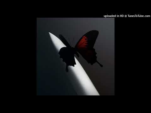 Post Malone Lemon Tree Audio