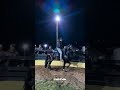 ✨ Live de Criação Haras Matrix