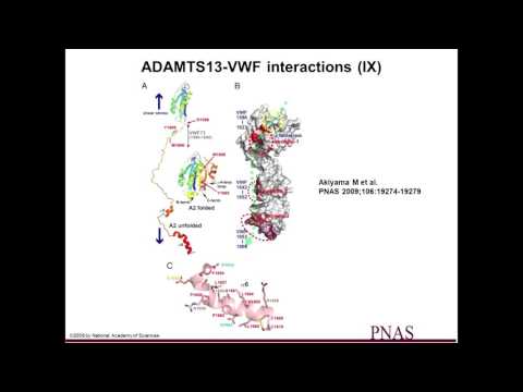 ISTH Academy Presentation: Thrombotic Thrombocytopenic Purpura (TTP)