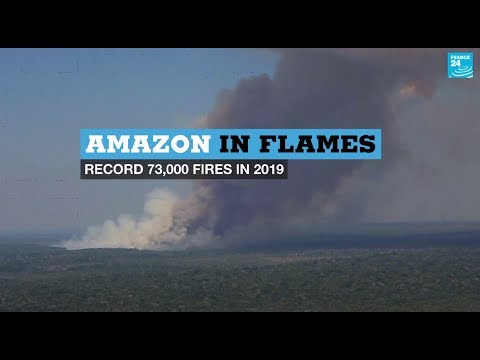 amazon fires