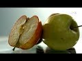 Топ-3 фрукти, які сприяють швидкому схудненню – поради дієтолога