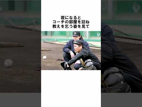 『育成の甲斐拓也とドラ1の山下斐紹』に関する雑学 #野球解説 #雑学 #甲斐拓也 #shorts #山下斐紹 #野球雑学