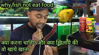 What to do if my aquarium fish does not feed hindi1