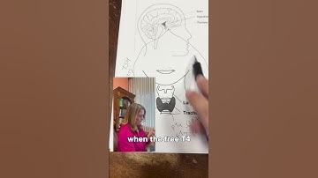 Understanding Thyroid Blood Test