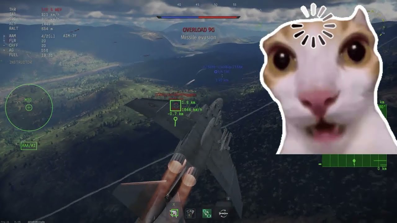 War Thunder with the f4s Phantom (The Brick)