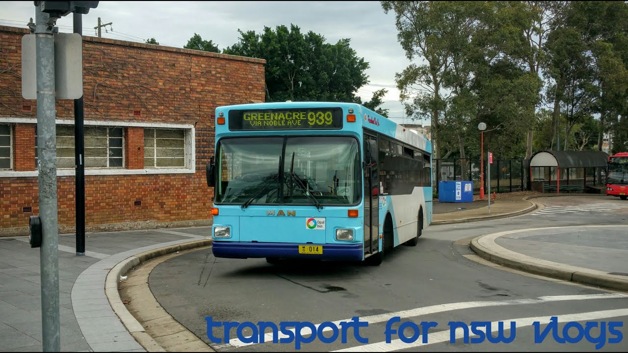 transport nsw school travel