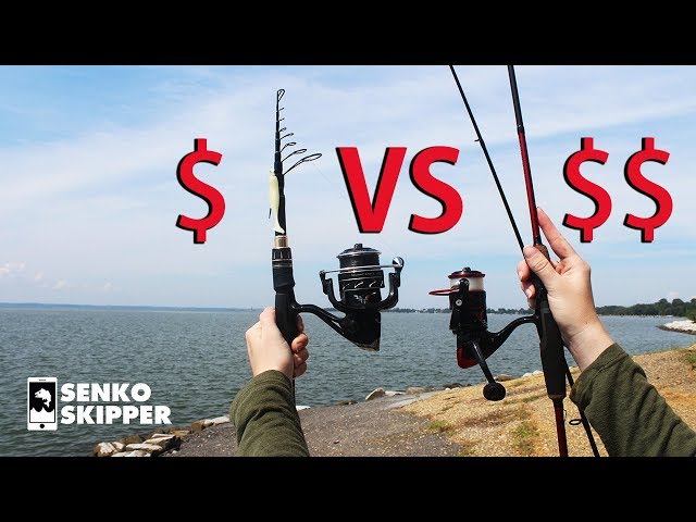 Save your Money! Telescopic Fishing Rod VS Two-piece Fishing