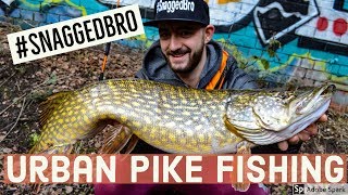 Pike Fishing Canals - Snagged Bro