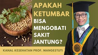 Apakah Ketumbar Bisa Mengobati Sakit Jantung?