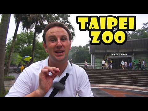 Video: Bezoekersgids voor de dierentuin van Taipei