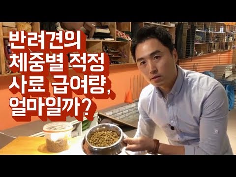 반려견의 적정 사료 급여량은 얼마일까?