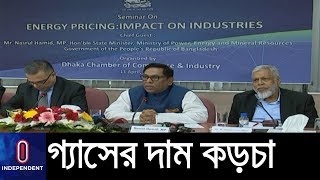 গ্যাসের দাম বাড়ালে স্থানীয় পণ্য বাজারে কেমন প্রভাব পড়তে পারে? || Gas Price Hike