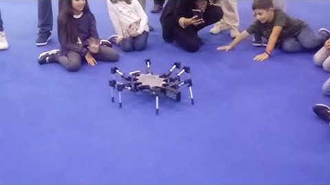 BIXINHO DE ESTIMAÇÃO DIFERENTE | ROBÔ ARANHA COM ARDUÍNO