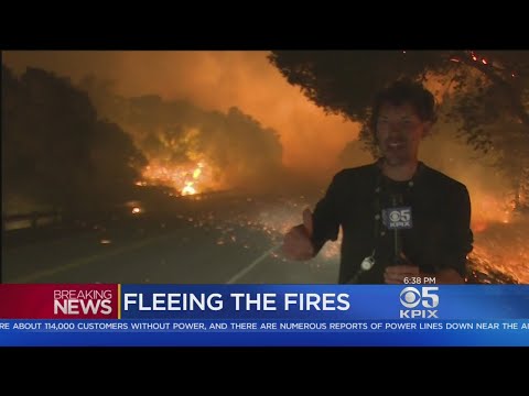 Scenes From Napa Sonoma Wildfire As Residents Scrambled To Safety