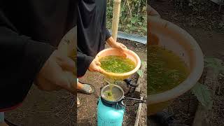 pestisida nabati(pesnab) untuk tanaman sehat skala rumahan #garden #tips #tutorial