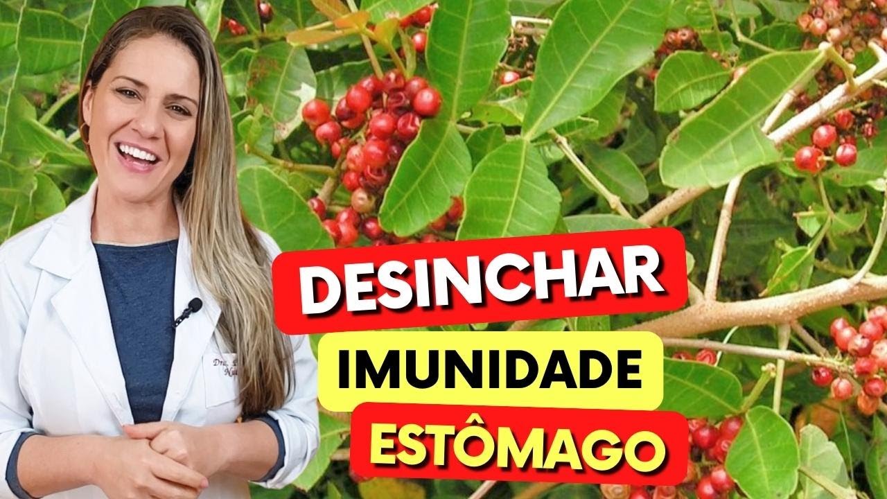 Chá para ESTÔMAGO, IMUNIDADE e DESINCHAR - Benefícios do Chá de Aroeira ...
